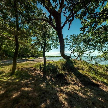 Traumhaff Kuestenchalets - Einzigartige Chalets An Der Ostsee. Ganz Aus Laerchenholz Mit Kamin Und Sauna Vogelsang-Warsin Zewnętrze zdjęcie
